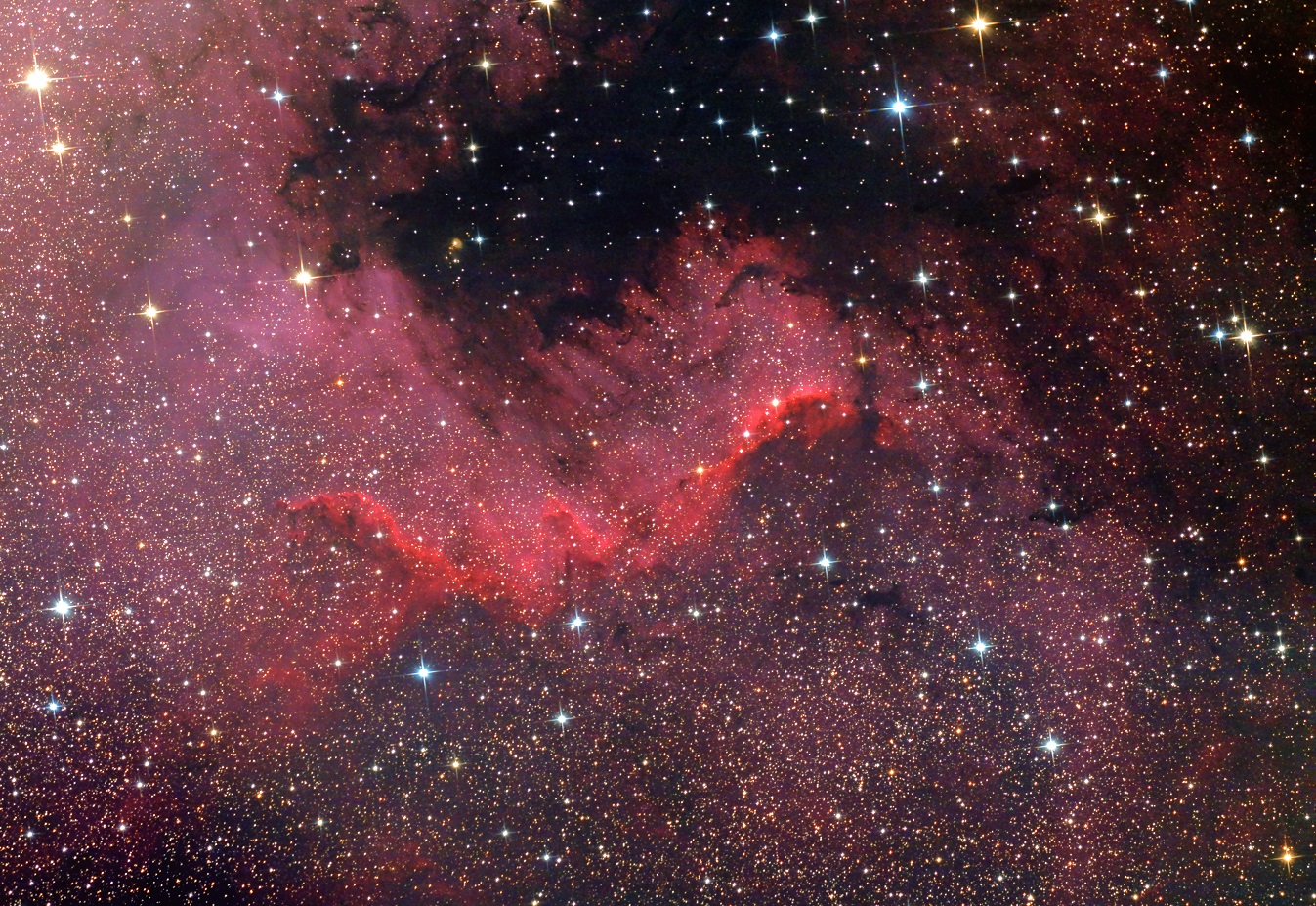 Der Nordamerikanebel NGC7000